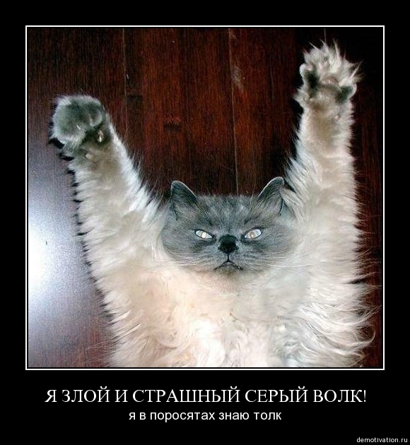 Демотиваторы710