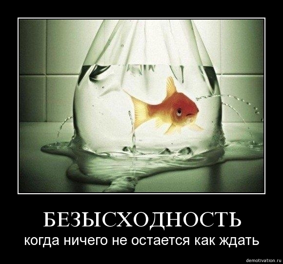 Демотиваторы!22