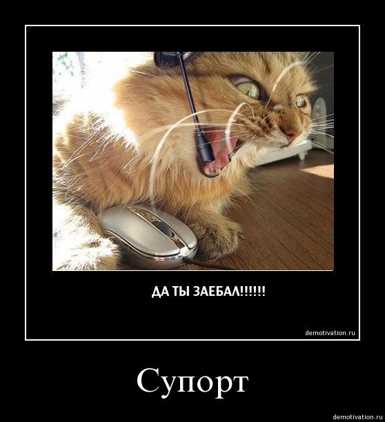 Демотиваторы!33