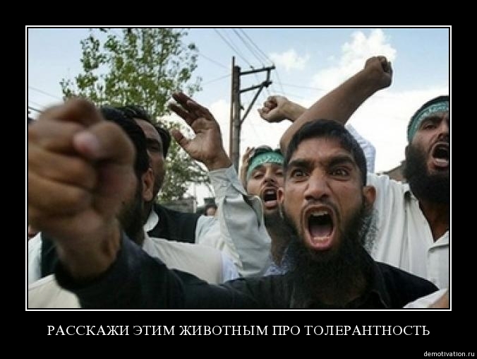 Демотиваторы!36