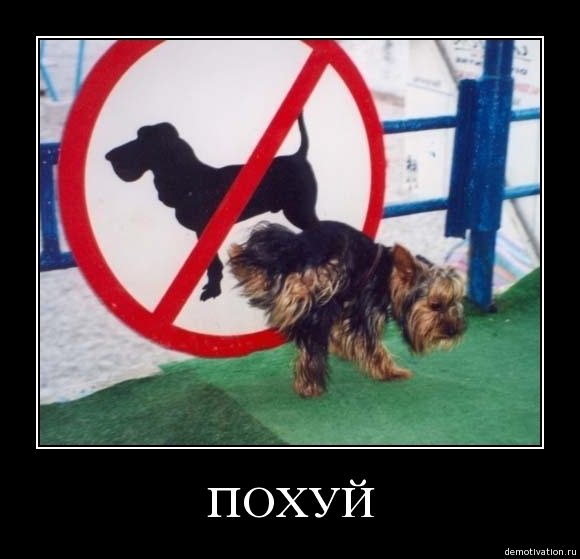 Демотиваторы!48