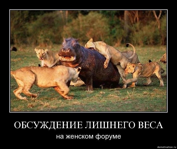 Демотиваторы!49