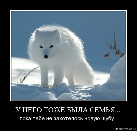 Demotivator210