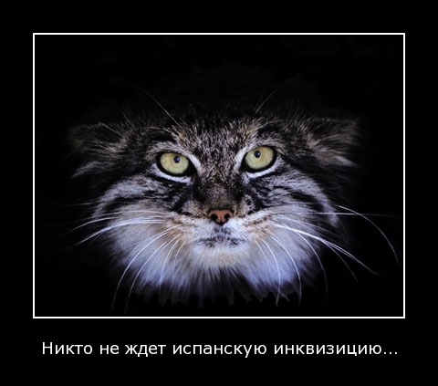Демотиватор11