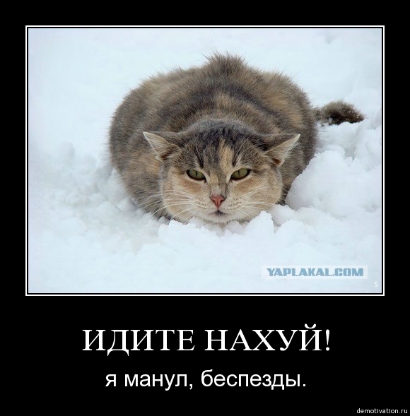 Демотиватор14