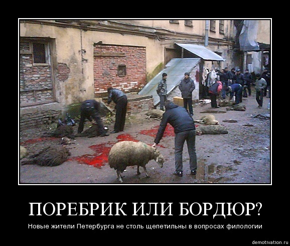 Демотиватор18