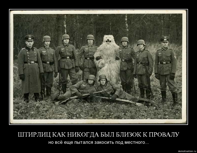 Демотиватор19
