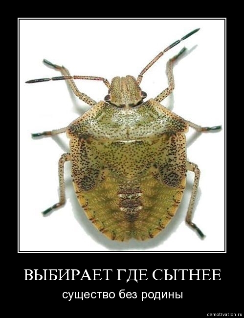 Демотиватор23