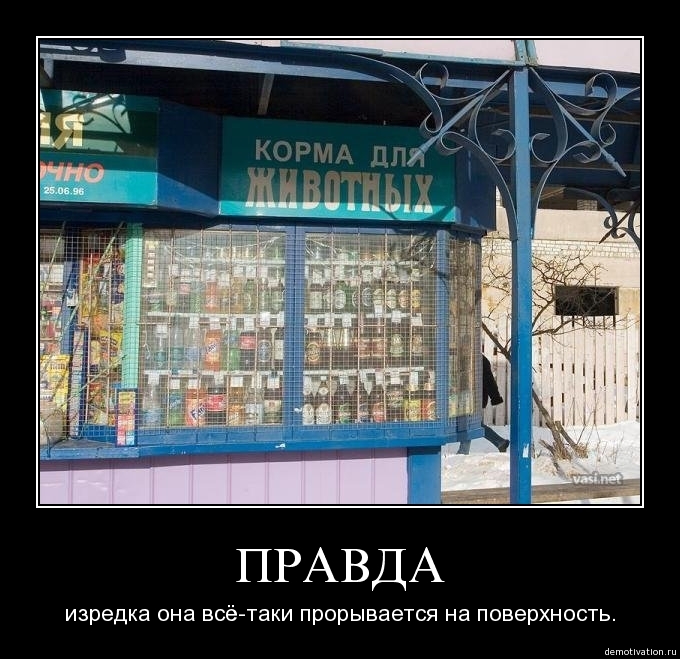 Демотиватор39