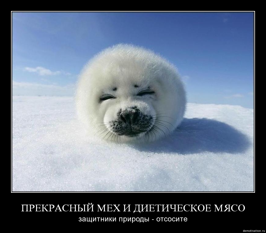 Демотиватор310