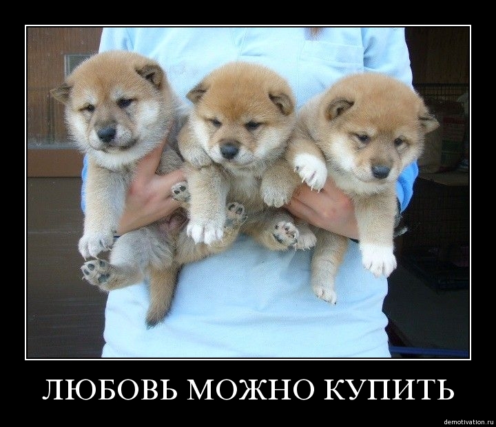 Демотиватор53