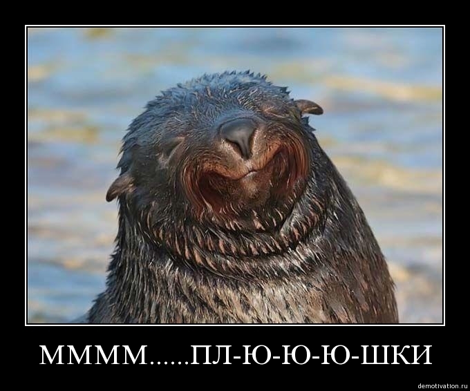Демотиватор54
