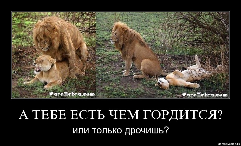 Демотиватор56