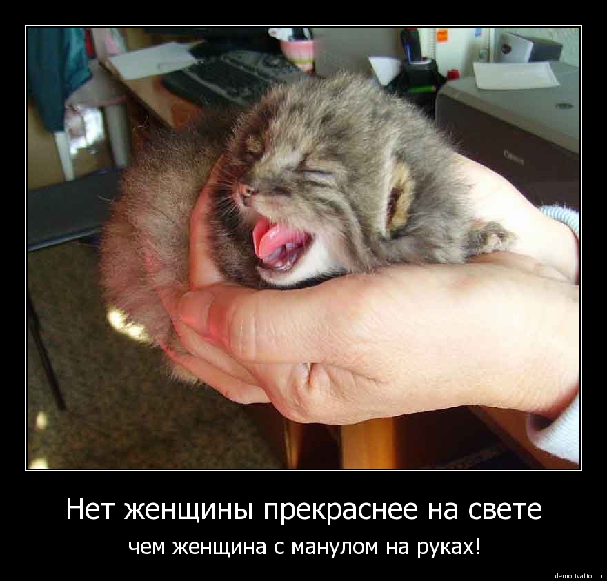 Демотиватор57