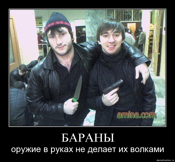 Демотиватор66