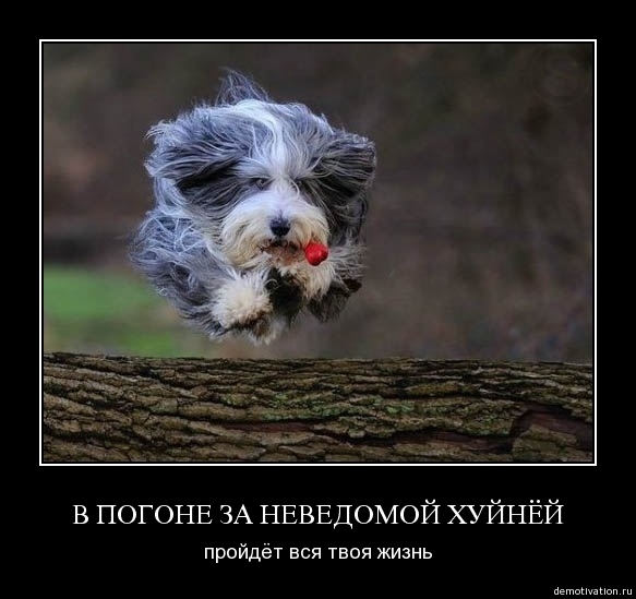 Демотиватор71
