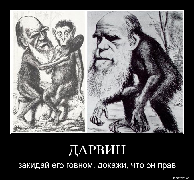 Демотиватор710