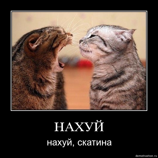 Демотиваторы13