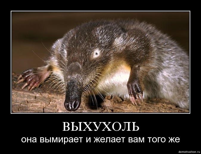 Демотиваторы22