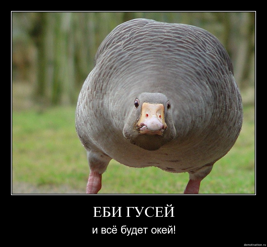 Демотиваторы47