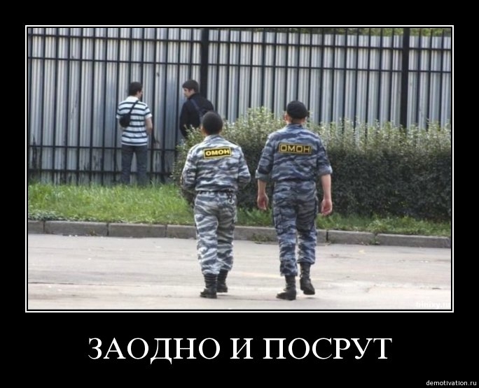 Демотиваторы53