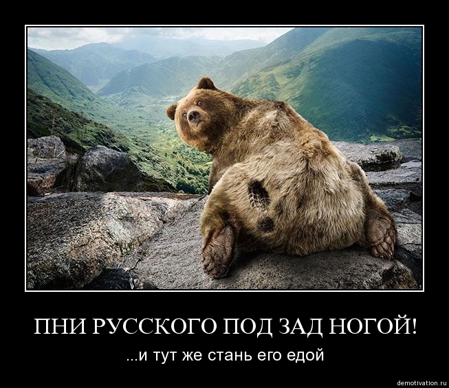 Демотиваторы55