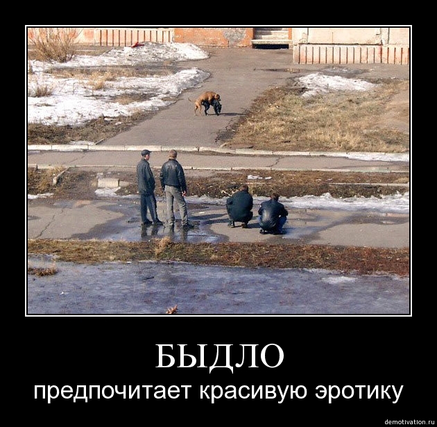 Демотиваторы58