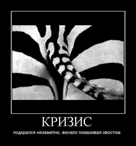 Demotivator6