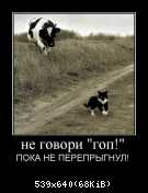 Demotivator7