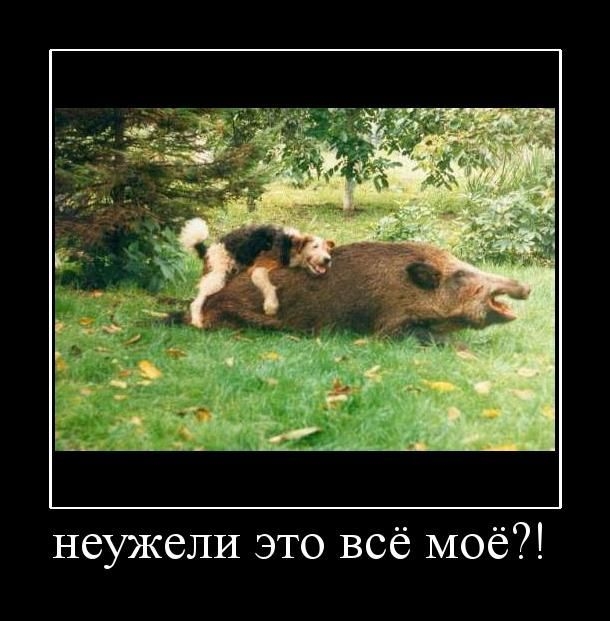 Demotivator10