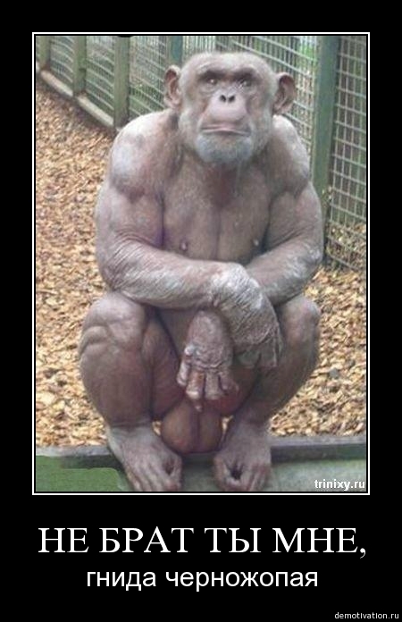 Demotivator19