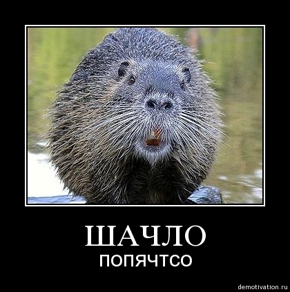 Demotivator21