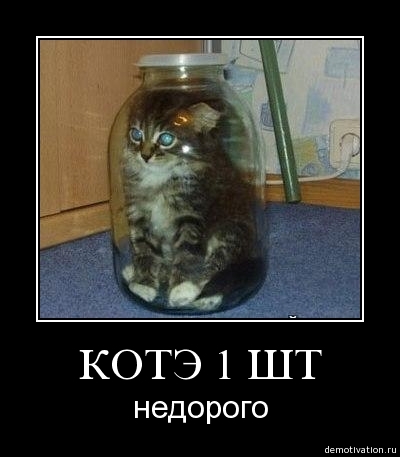 Demotivator24