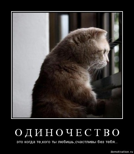 Demotivator210