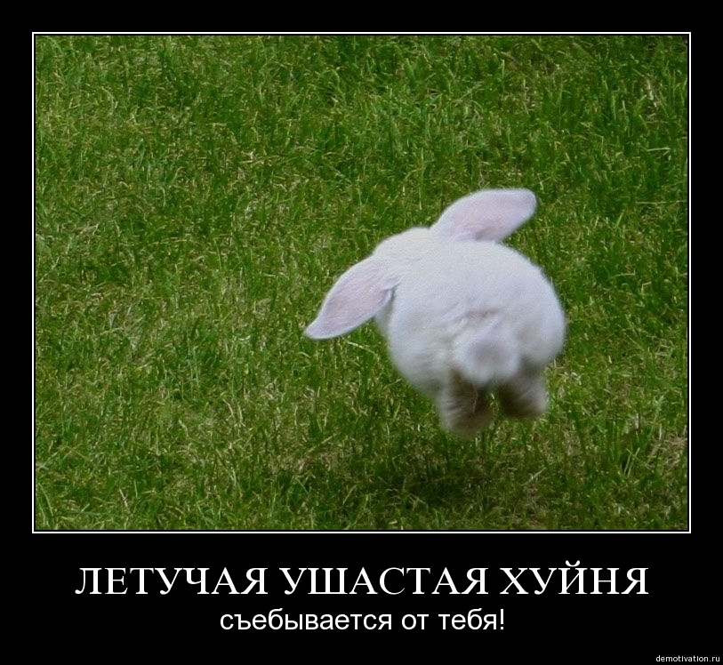 Demotivator42
