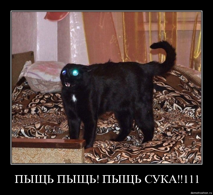 Demotivator47