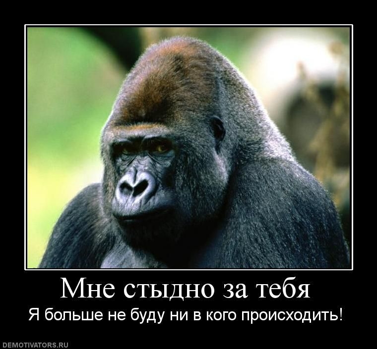 Demotivator410