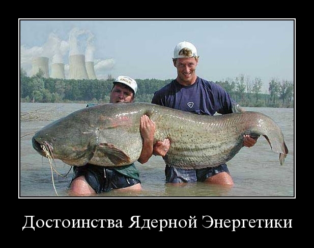 Demotivator51