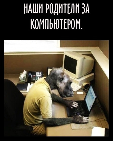 Наши родители за компьютером