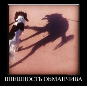 Внешность Обманчива