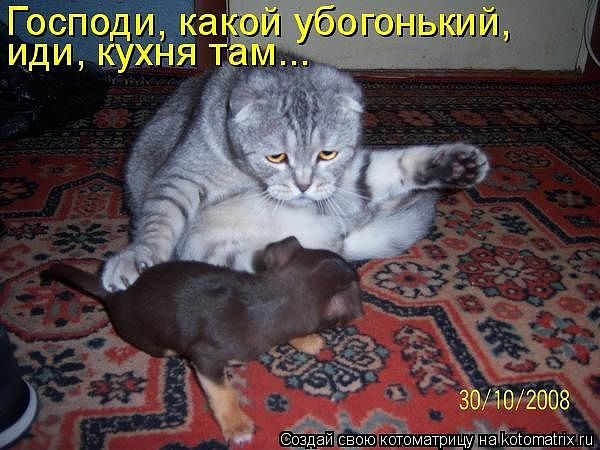 getImageCASQ7RRN