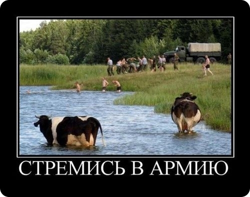 0e78f537da