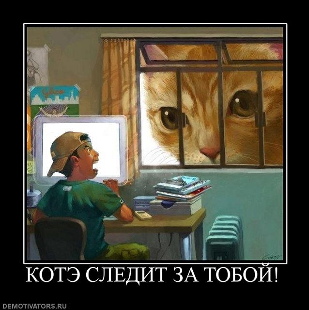 725857 kote-sledit-za-toboj