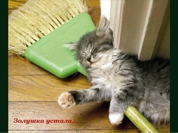Золушка