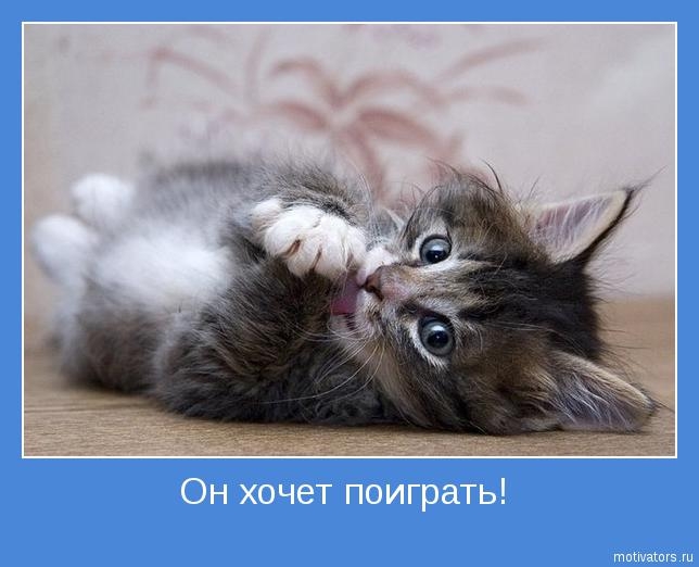 motivator-2359