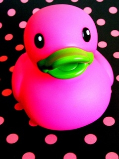 pink ducky