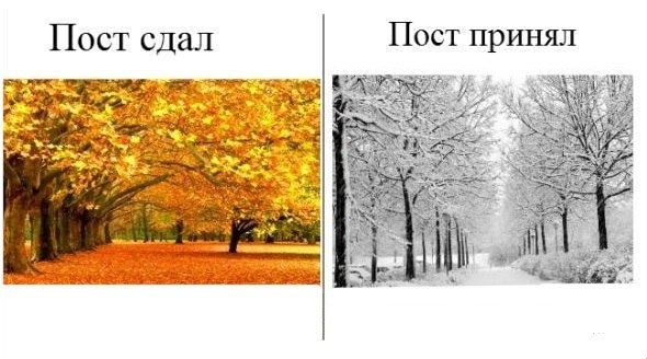 ShztHlkvPHg