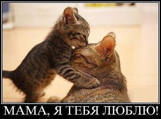 vDSCXJT6ZKs