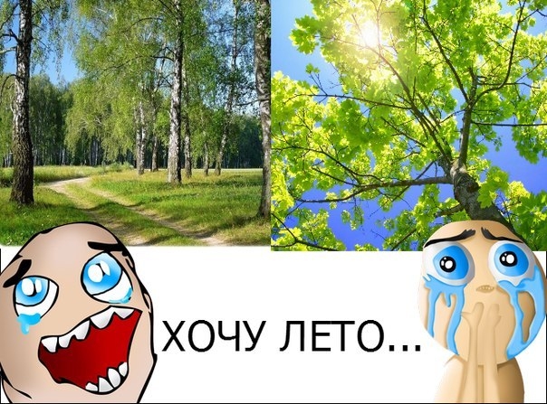 Wp7ZHHrXxsY