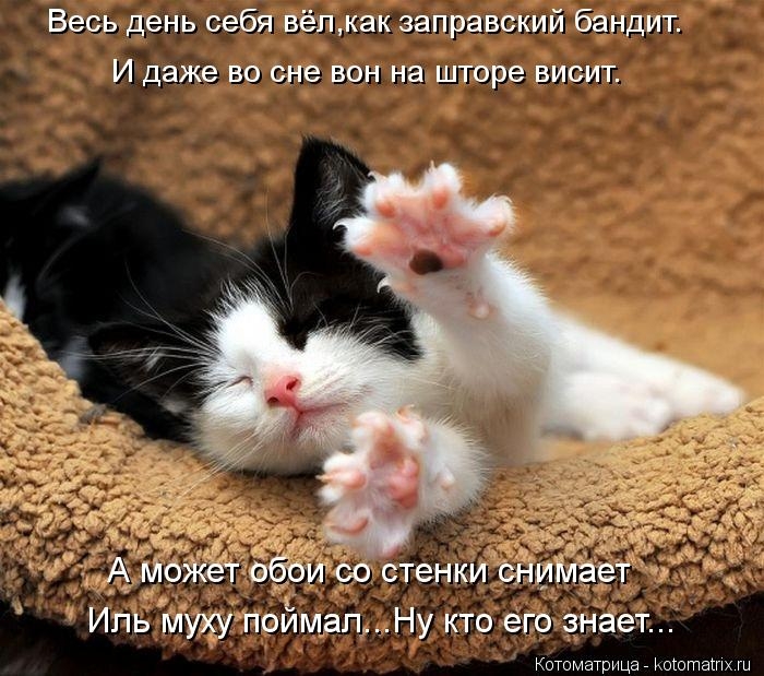 7acff469c8